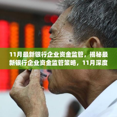 揭秘最新银行企业资金监管策略，深度解读与11月最新动态