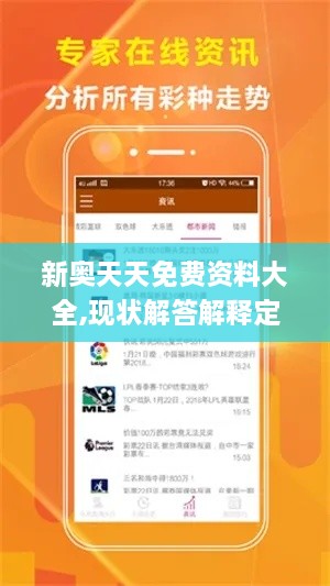 新奥天天免费资料大全,现状解答解释定义_WPE4.43.74动感版