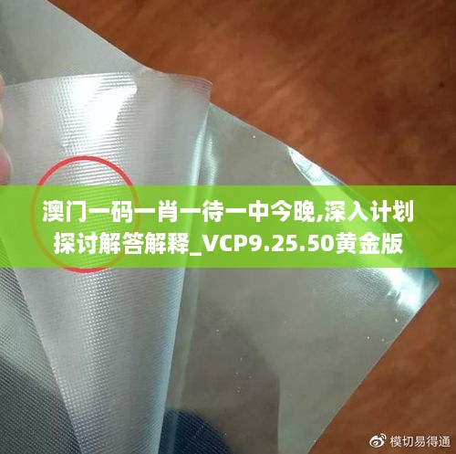 澳门一码一肖一待一中今晚,深入计划探讨解答解释_VCP9.25.50黄金版