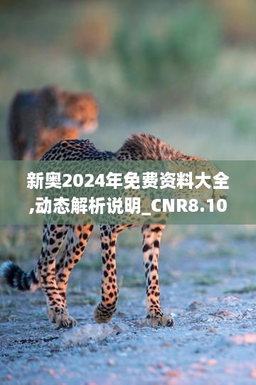 新奥2024年免费资料大全,动态解析说明_CNR8.10.23定制版