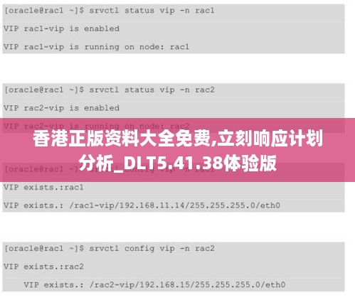 香港正版资料大全免费,立刻响应计划分析_DLT5.41.38体验版