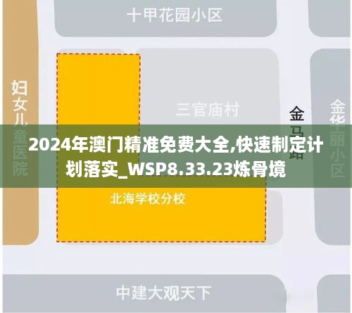 2024年澳门精准免费大全,快速制定计划落实_WSP8.33.23炼骨境