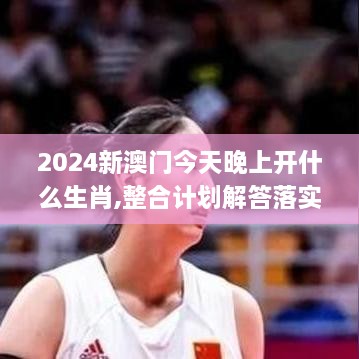 2024新澳门今天晚上开什么生肖,整合计划解答落实_NYI6.24.41官方版