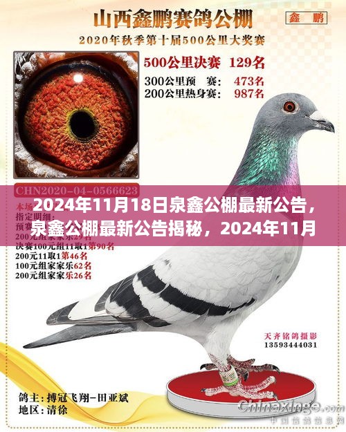 产品展示 第522页