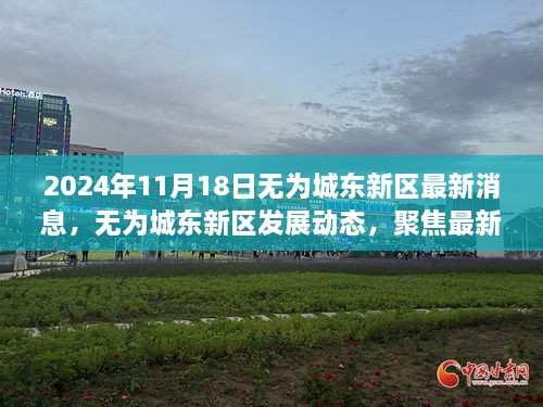 2024年11月18日无为城东新区最新消息，无为城东新区发展动态，聚焦最新消息下的深度解读与观点碰撞