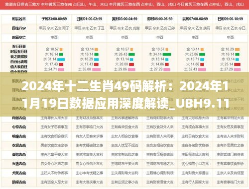 2024年十二生肖49码解析：2024年11月19日数据应用深度解读_UBH9.11.46特别版