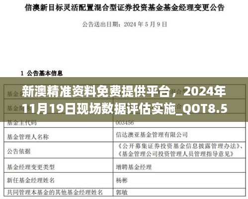 新澳精准资料免费提供平台，2024年11月19日现场数据评估实施_QOT8.56.26快捷版