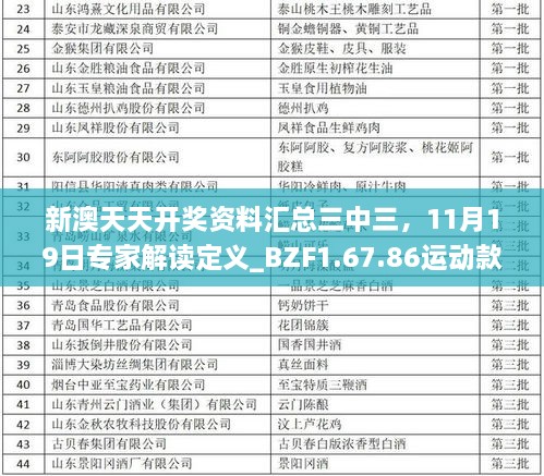 新澳天天开奖资料汇总三中三，11月19日专家解读定义_BZF1.67.86运动款