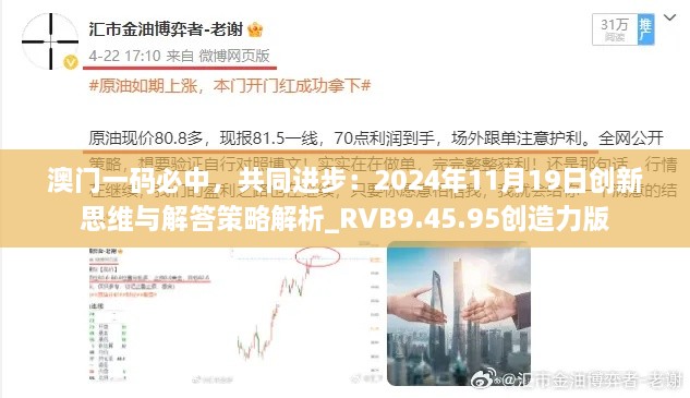 2024年11月19日 第146页
