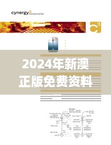 2024年新澳正版免费资料，包含全面的解释与实施方法_SWB5.65.63界面版