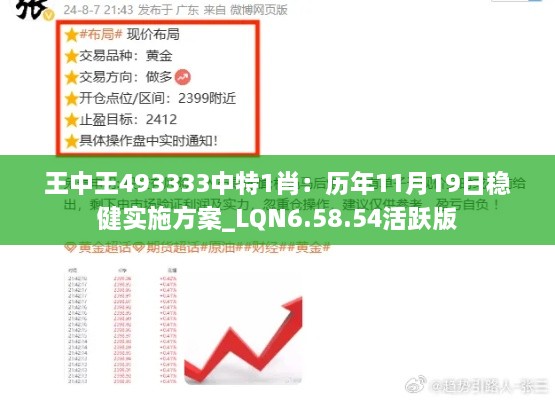 王中王493333中特1肖：历年11月19日稳健实施方案_LQN6.58.54活跃版