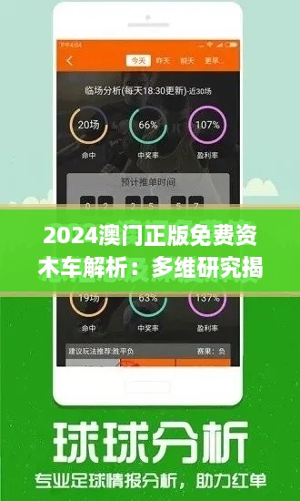 2024澳门正版免费资木车解析：多维研究揭示现象及解答_TJW3.59.96流线型版