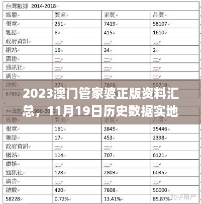 2023澳门管家婆正版资料汇总，11月19日历史数据实地评估计划_NVH1.24.39灵活版