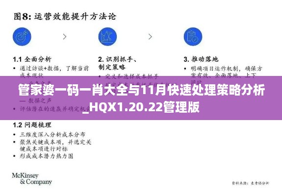 管家婆一码一肖大全与11月快速处理策略分析_HQX1.20.22管理版