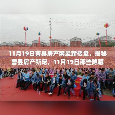 揭秘曹县房产新宠，最新楼盘与小巷特色小店盘点（11月19日）
