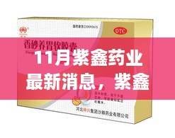紫鑫药业十一月新动态，药香与自然和谐之旅，探寻内心宁静之道