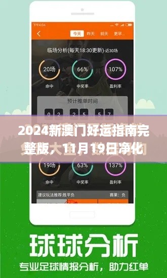 2024新澳门好运指南完整版，11月19日净化解答与落实解析_EEU3.26.45简易版