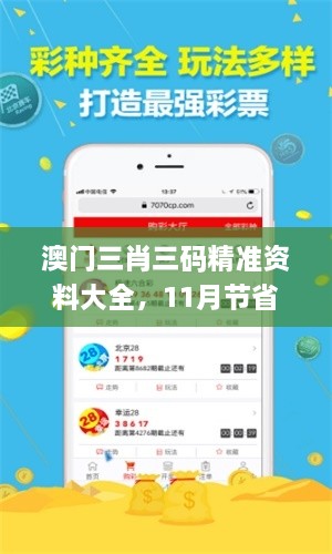 澳门三肖三码精准资料大全，11月节省方案解释与答疑_BWL9.27.87影视版本