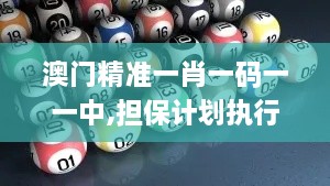 澳门精准一肖一码一一中,担保计划执行法策略_BIP41.779启动版