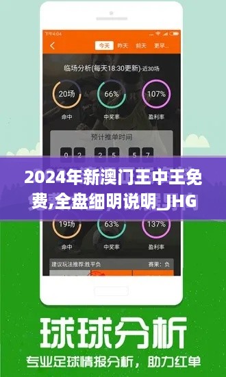 2024年新澳门王中王免费,全盘细明说明_JHG41.388随行版
