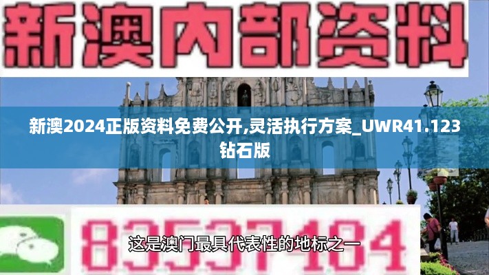 新澳2024正版资料免费公开,灵活执行方案_UWR41.123钻石版