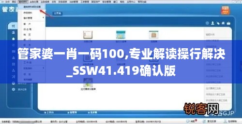 管家婆一肖一码100,专业解读操行解决_SSW41.419确认版