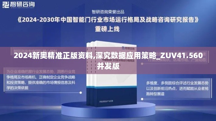2024新奥精准正版资料,深究数据应用策略_ZUV41.560并发版
