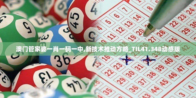 澳门管家婆一肖一码一中,新技术推动方略_TIL41.348动感版