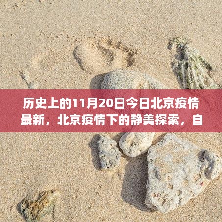 沐猴而冠 第7页