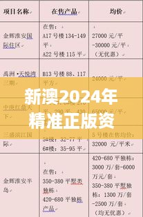 新澳2024年精准正版资料,实际调研解析_NJN41.488语音版