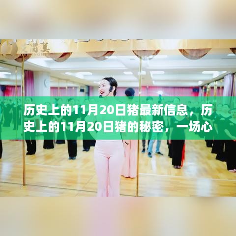 历史上的11月20日猪，心灵与自然的完美邂逅揭秘