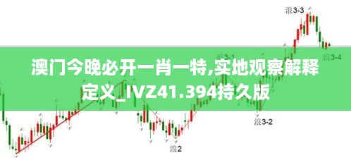 澳门今晚必开一肖一特,实地观察解释定义_IVZ41.394持久版