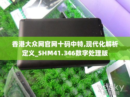 香港大众网官网十码中特,现代化解析定义_SHM41.346数字处理版