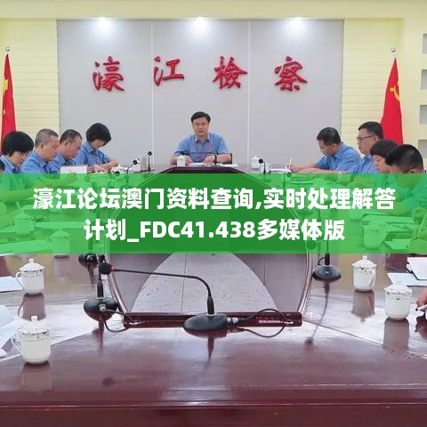 濠江论坛澳门资料查询,实时处理解答计划_FDC41.438多媒体版