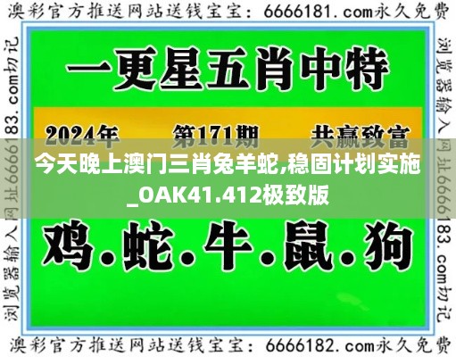 今天晚上澳门三肖兔羊蛇,稳固计划实施_OAK41.412极致版
