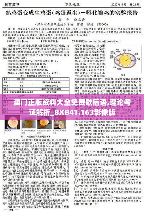 澳门正版资料大全免费歇后语,理论考证解析_BXB41.163影像版