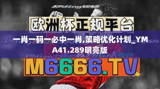 一肖一码一必中一肖,策略优化计划_YMA41.289明亮版