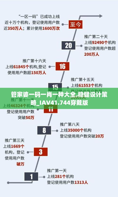管家婆一码一肖一种大全,稳健设计策略_IAV41.744穿戴版