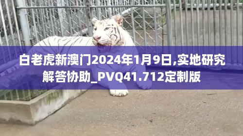 白老虎新澳门2024年1月9日,实地研究解答协助_PVQ41.712定制版