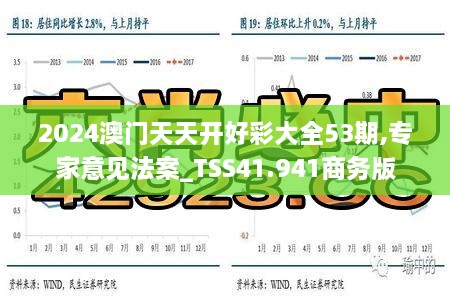 2024澳门天天开好彩大全53期,专家意见法案_TSS41.941商务版