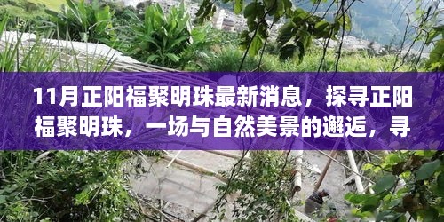 害群之马 第7页