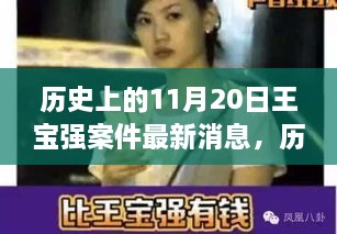 王宝强案件最新进展分析，历史时间线下的最新消息回顾与展望（11月20日）