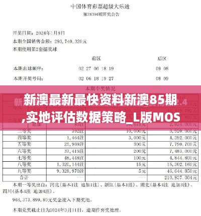 新澳最新最快资料新澳85期,实地评估数据策略_L版MOS4.63