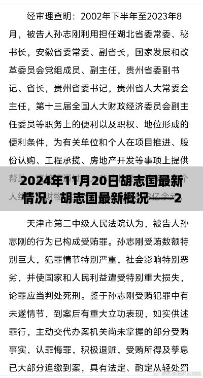 胡志国最新概况综述，2024年11月20日更新