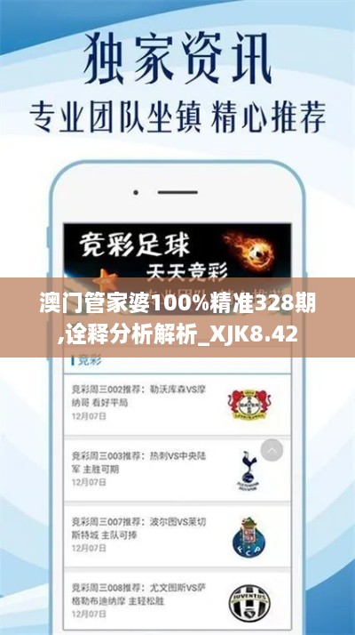 澳门管家婆100%精准328期,诠释分析解析_XJK8.42