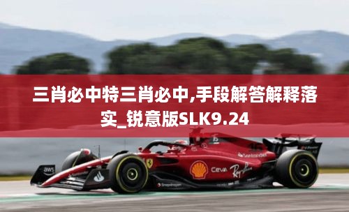 ponashugeng 第5页