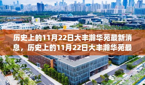 历史上的11月22日大丰瀚华苑最新消息，历史上的11月22日大丰瀚华苑最新消息——全面了解与探索的步骤指南