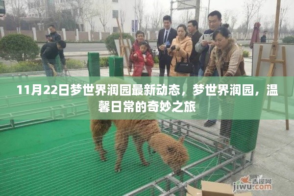 梦世界润园最新动态，温馨日常的奇妙之旅开启
