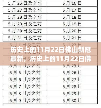 历史上的11月22日佛山新冠疫情动态与防控指南，全面应对疫情风险