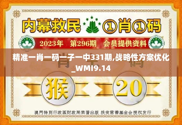 精准一肖一码一子一中331期,战略性方案优化_WMI9.14